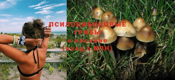 круглые Аша