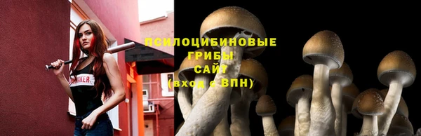 круглые Аша