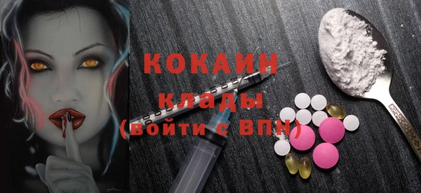 шишки Нефтегорск