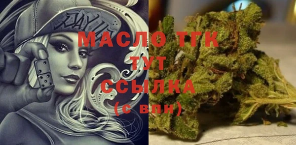 хмурый Анива