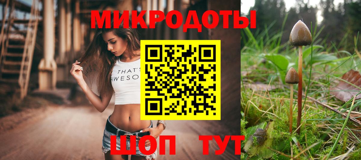 Галлюциногенные грибы MAGIC MUSHROOMS  Вход с VPN  Ялуторовск 